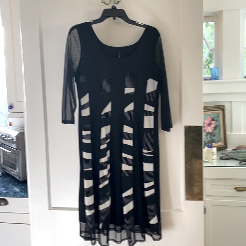 Beautiful black and white swing dress style dress with netting for arms, hem.
